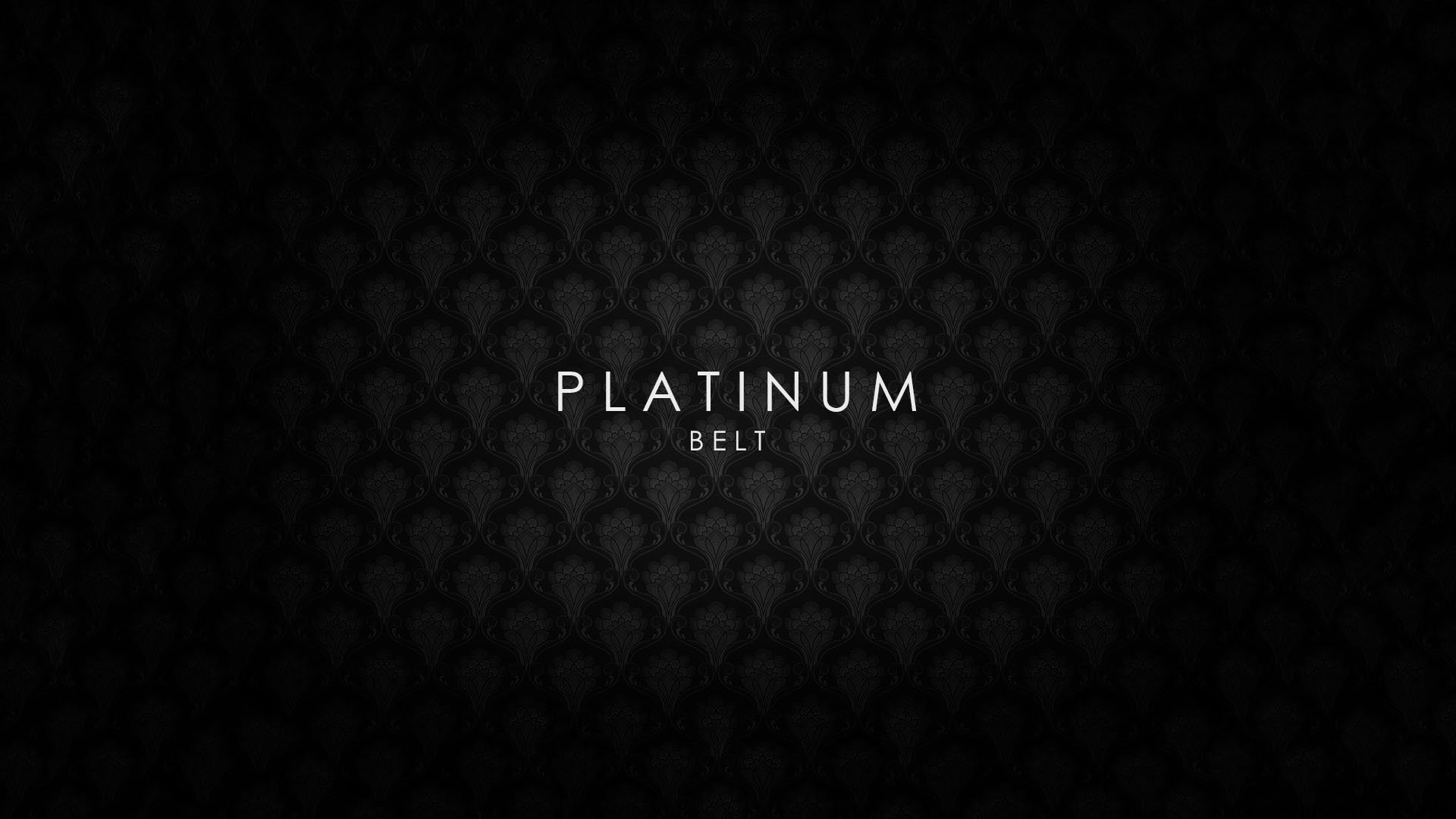 platinum belt Ivan Real Estate Concept &#8211; Platinum Belt PLATINUM BELT
